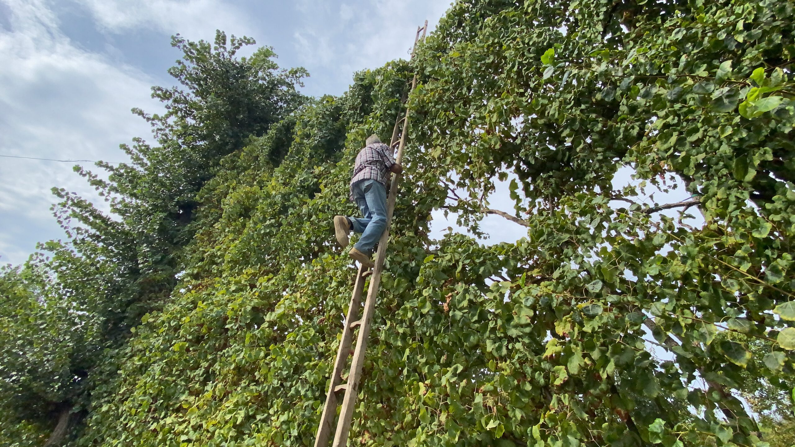 6C12BFB1-768D-4FB5-B651-2FD50FA964EB